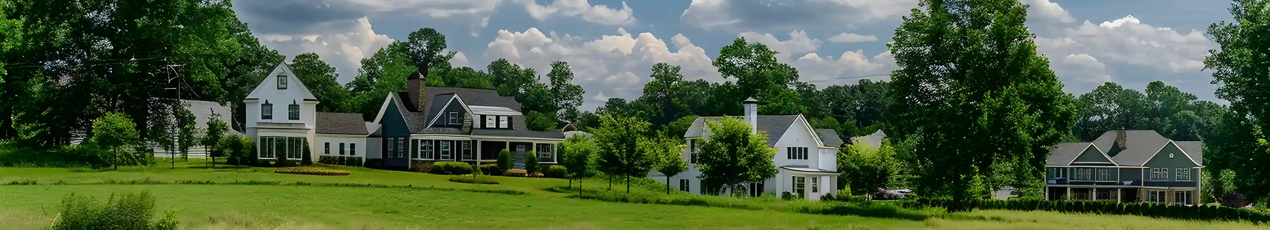Nice houses surrounded by large lawns in North Carolina