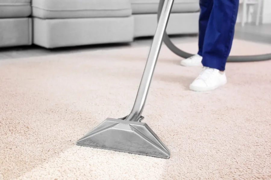 A professional pest control technician using a heavy-duty steam cleaner on a beige carpet to eradicate bed bugs.