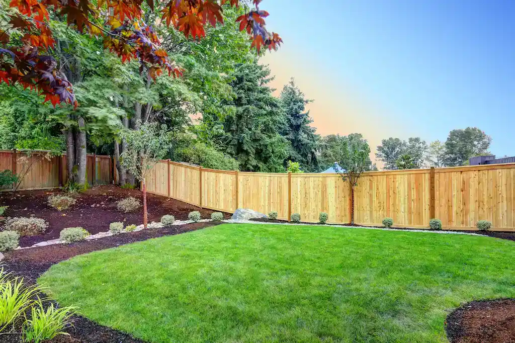 Open space backyard with freshly trimmed grass and bushes
