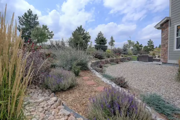 Landscaped backyard in an arid environment
