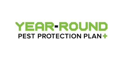 Year-Round Pest Protection Plan+ in your area