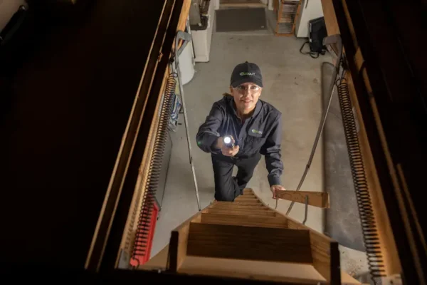 BugOut Service Termite pest technician shining a flashlight into termite infested attic.