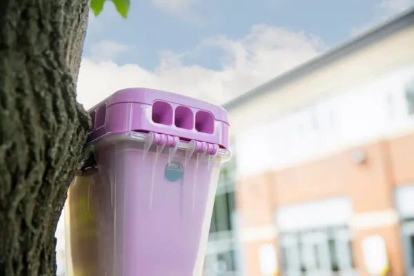 A closeup of an EcoCatch Flies box hanging from a North Carolina tree. Call today to get a fly control quote before pests threaten your health score or customer experience.