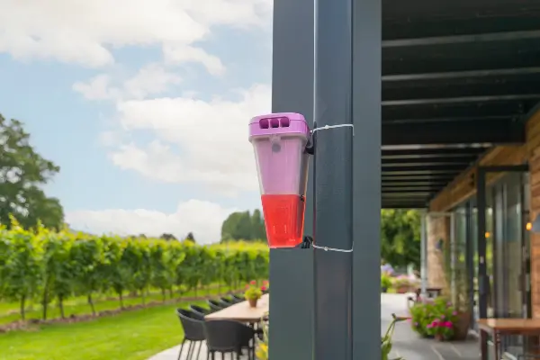 An EcoCatch Flies trap hanging on a pillar at an outdoor restaurant in North Carolina. EcoCatch Flies is a great solution for Florida restaurants looking for a discreet way to fight flies.