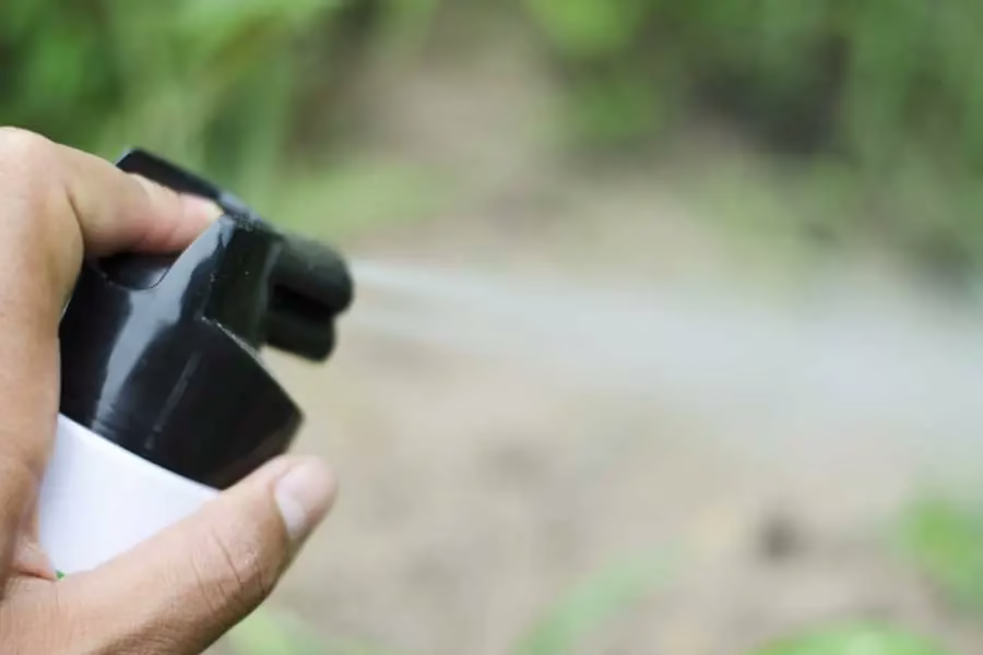 Spraying DIY termite spray. Natural termite prevention methods like orange oil and diatomaceous earth may deter termites temporarily.