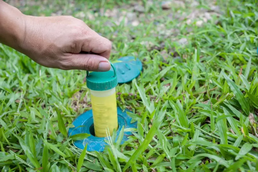 Placing a termite bait station in the ground of a North Carolina yard. Termite bait stations are a common method to get rid of termites.
