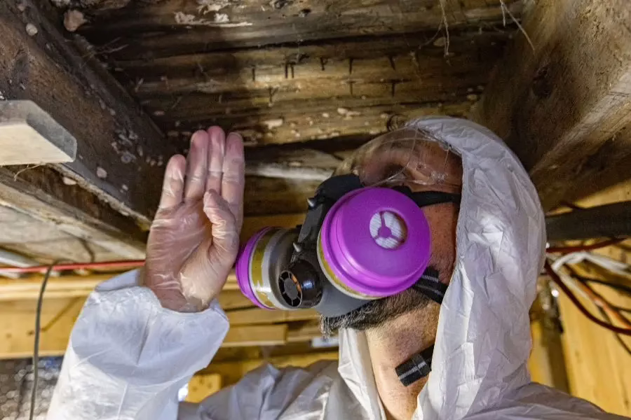 A Bug Out pest control technician inspects a North Carolina home for termites. A once annual termite inspection is the best way to prevent termite damage.