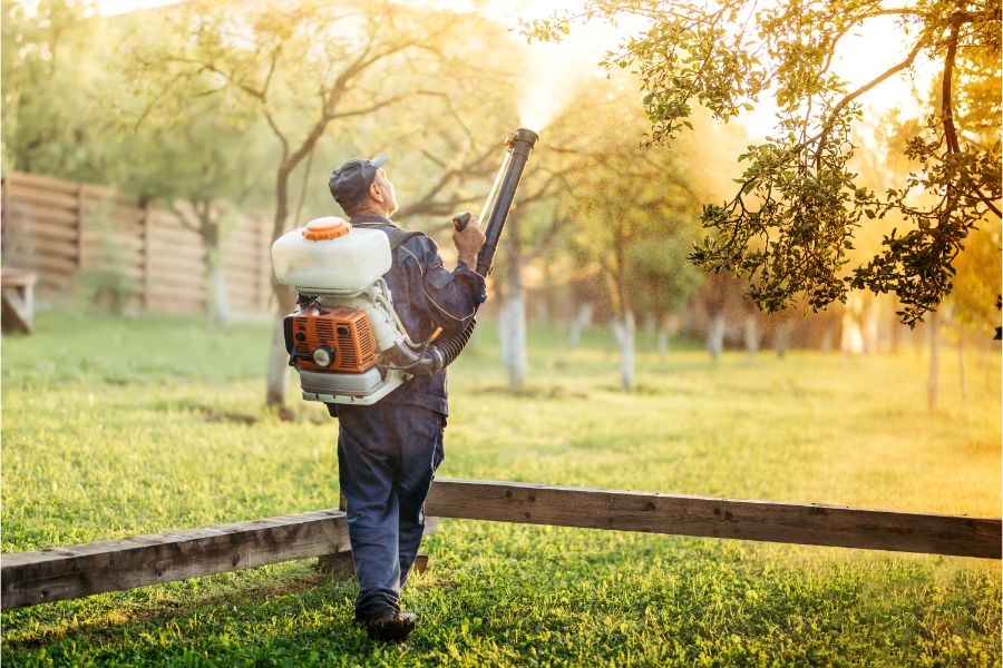 Exterminator spraying pesticides in treetops