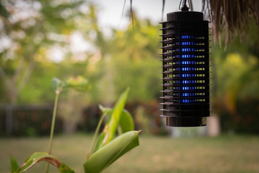 Hanging bug zapper