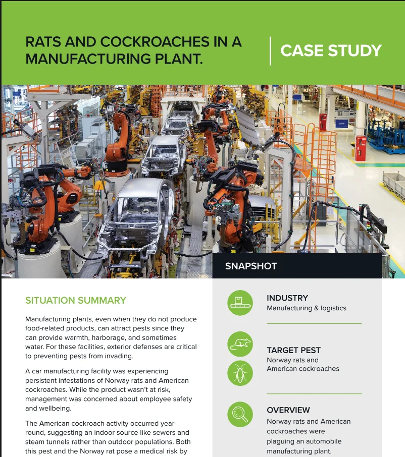 Rats and Cockroaches in a Manufacturing Plant