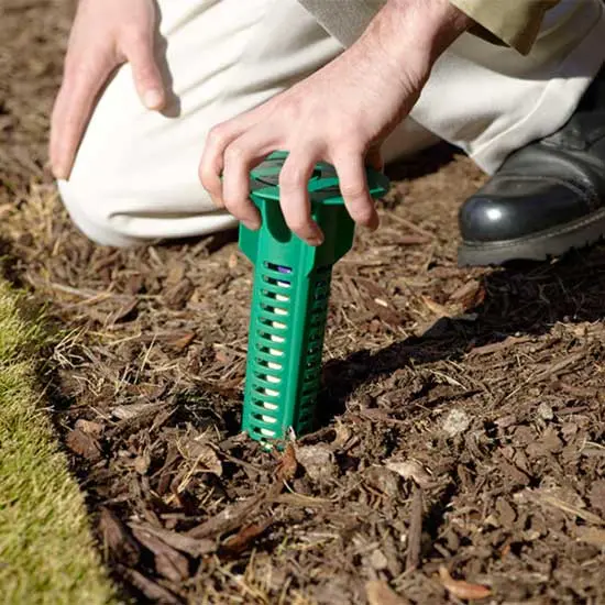 Placing an in-ground termite bait station in a North Carolina yard. Bait stations are a popular termite prevention method to deter termite infestations.