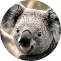 Gerri J. Avatar